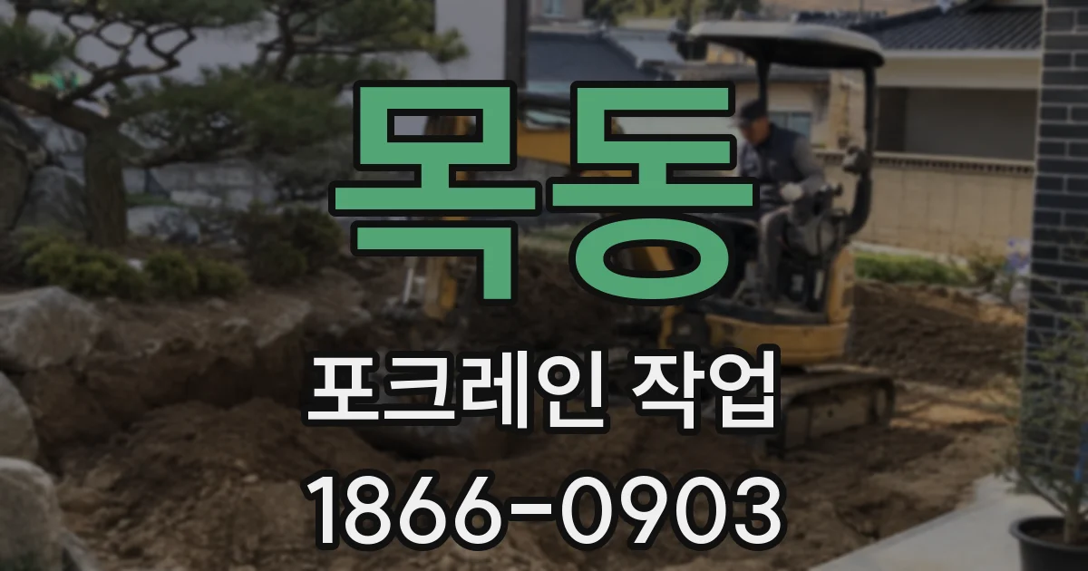 목동 포크레인 작업
