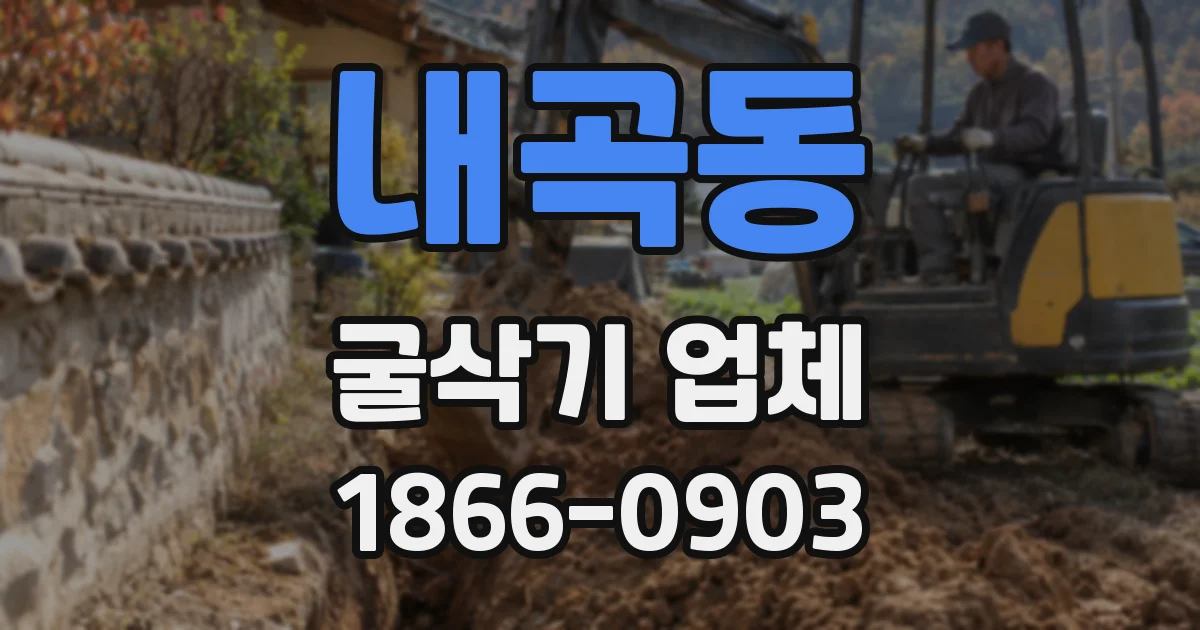 내곡동 굴삭기 업체