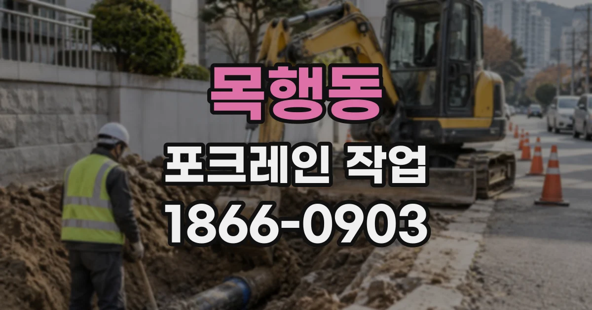 목행동 포크레인작업
