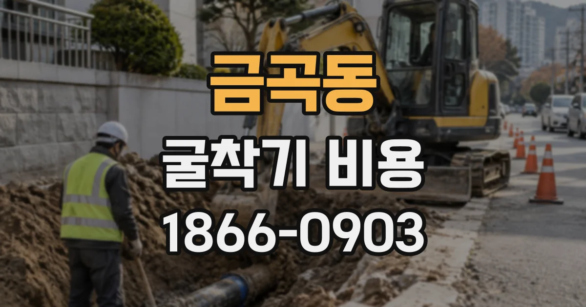 금곡동 굴착기비용
