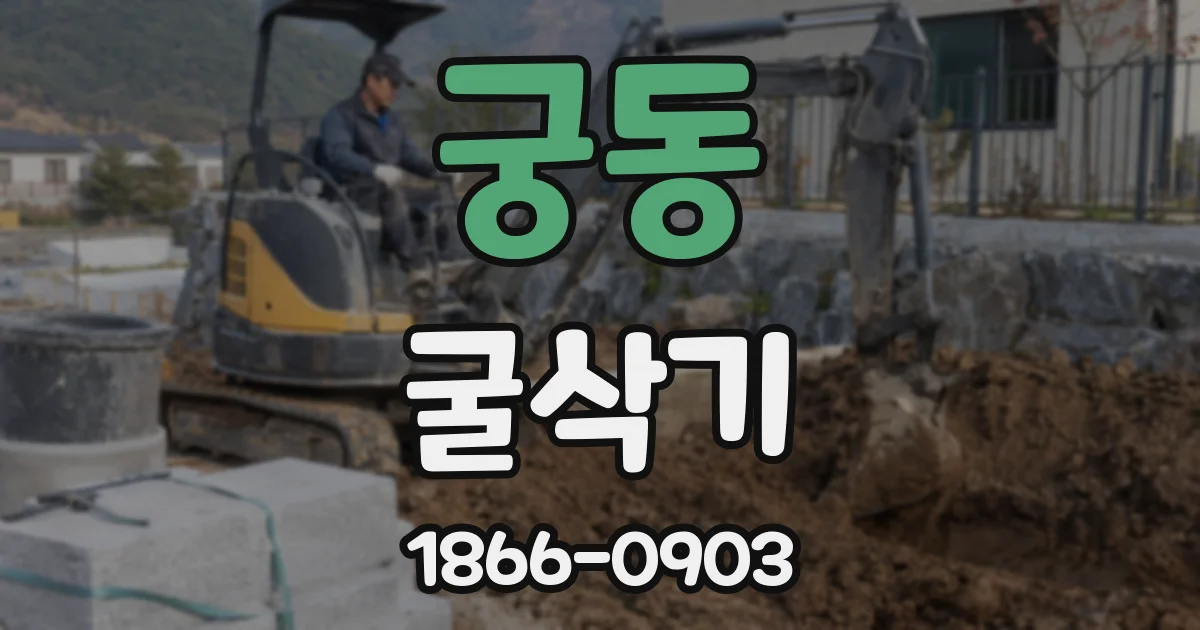 궁동 굴삭기