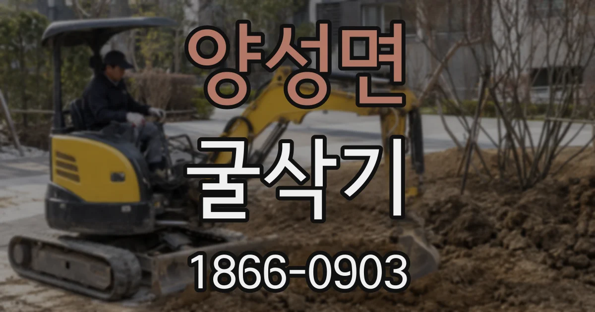 양성면 굴삭기