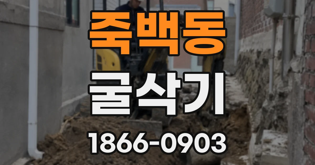 죽백동 굴삭기