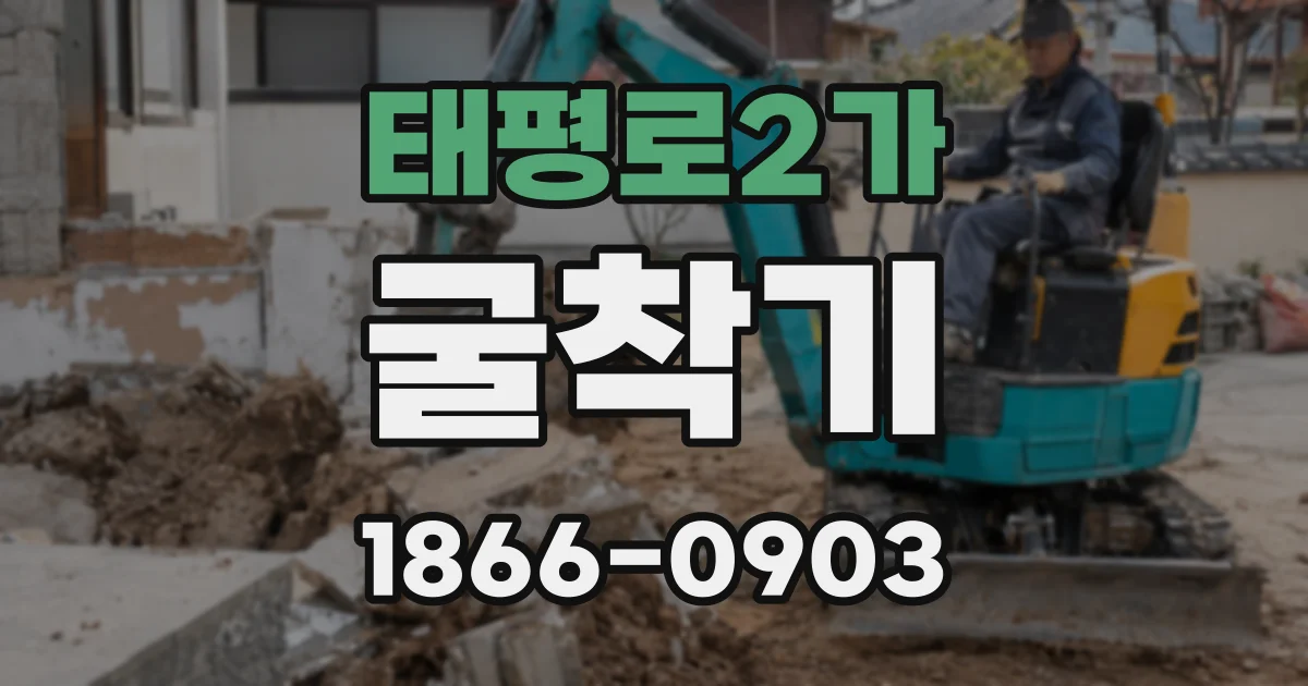 태평로2가 굴착기