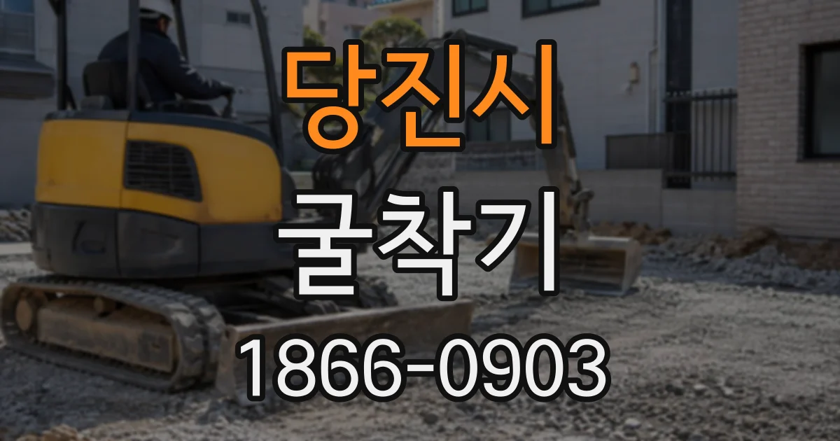 당진시 굴착기