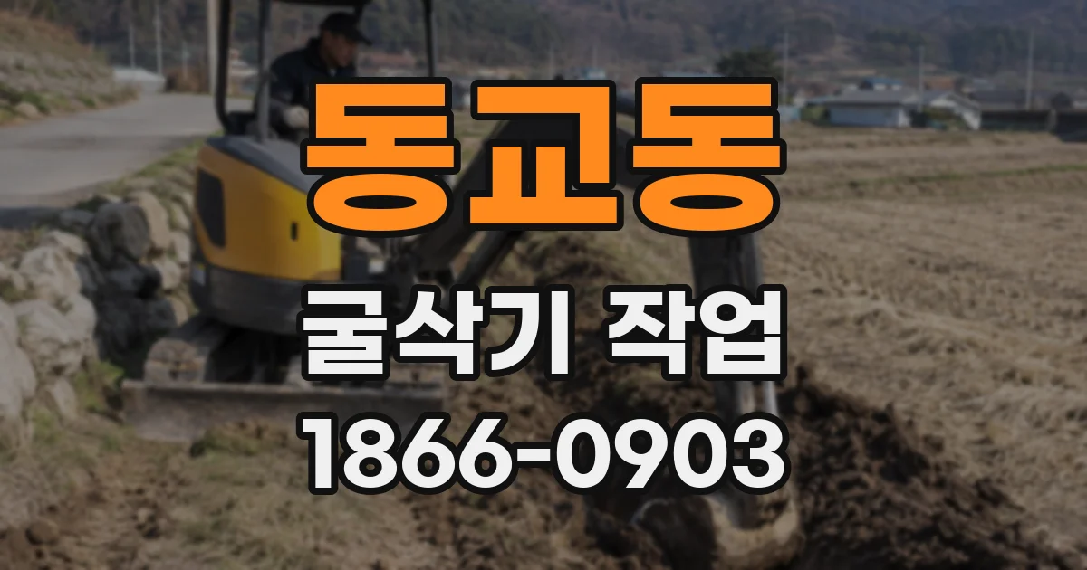 동교동 굴삭기 작업