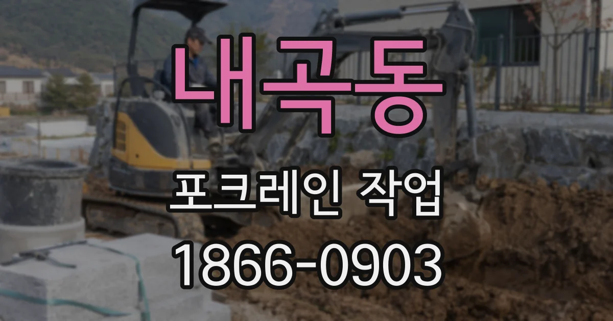 내곡동 포크레인 작업