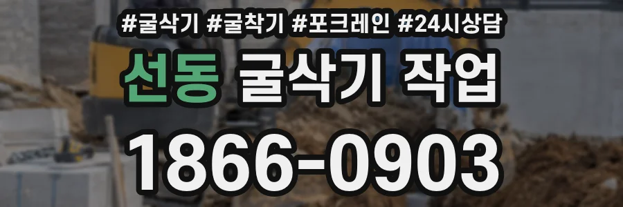 선동 굴삭기 작업