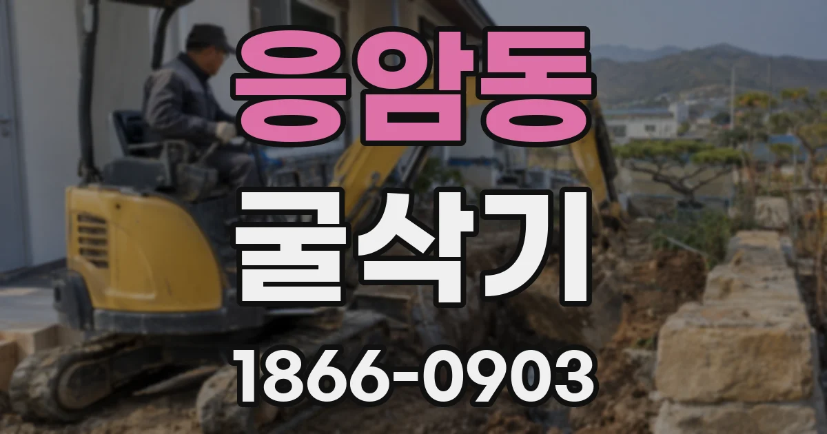 응암동 굴삭기
