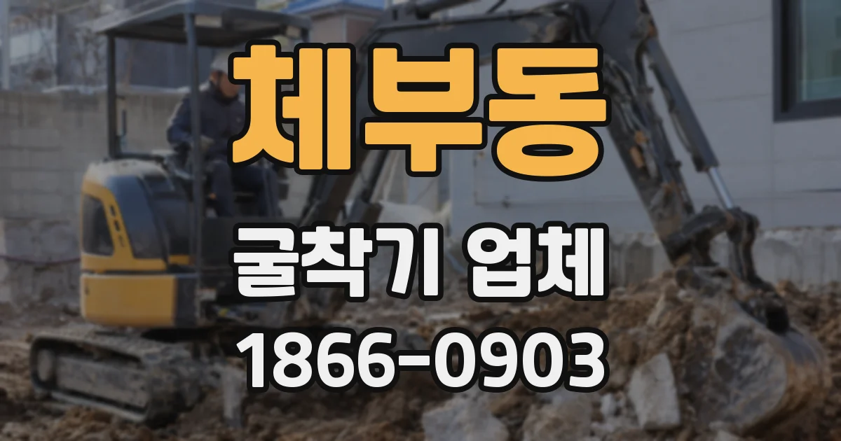 체부동 굴착기 업체