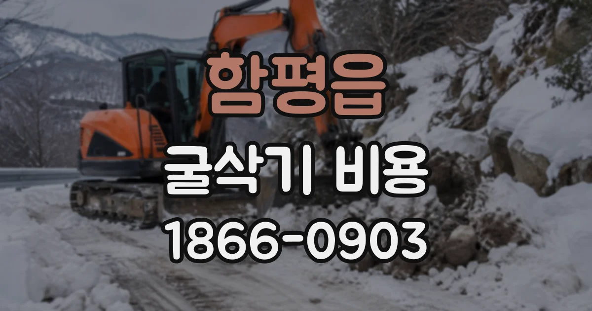 함평읍 굴삭기비용