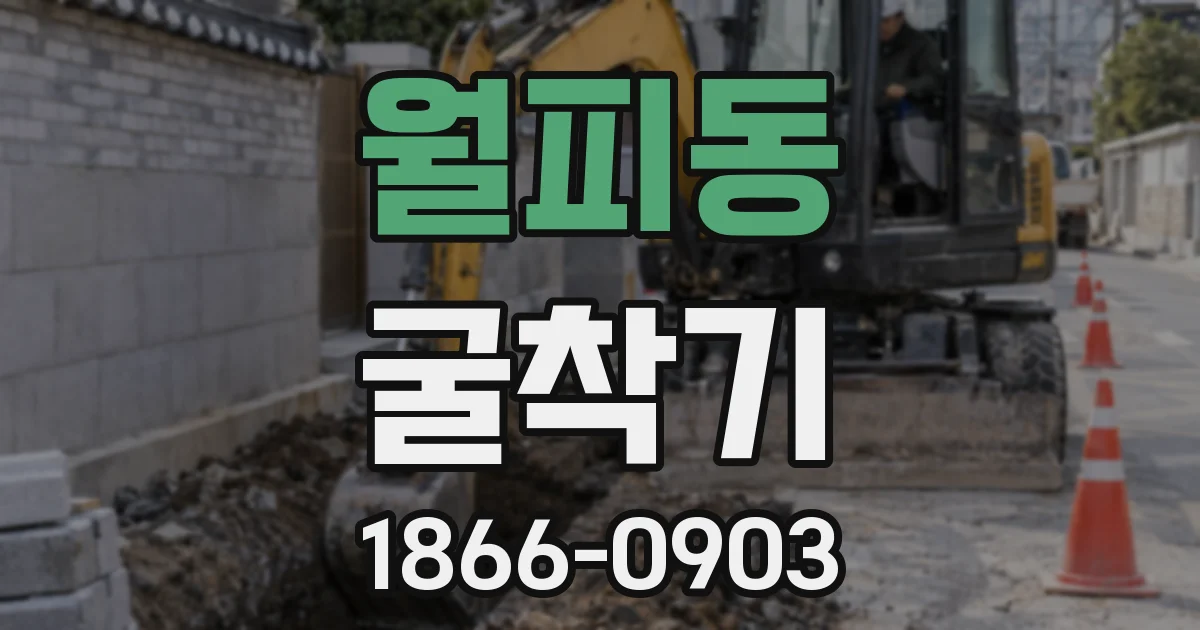 월피동 굴착기