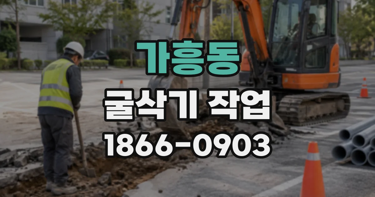 가흥동 굴삭기작업