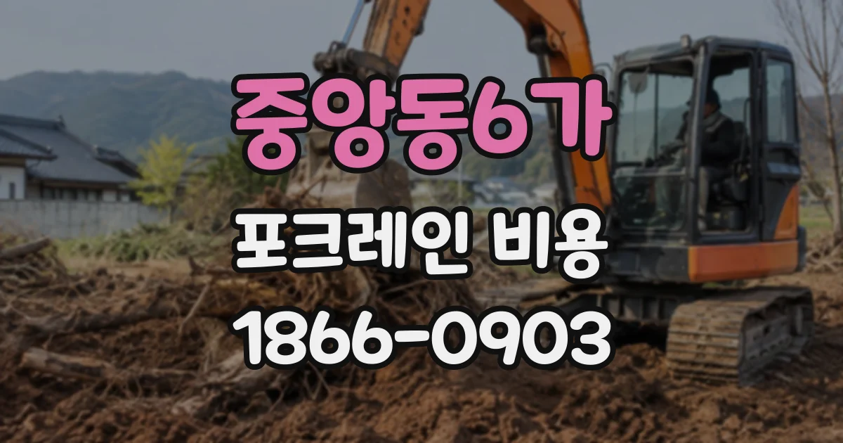 중앙동6가 포크레인비용