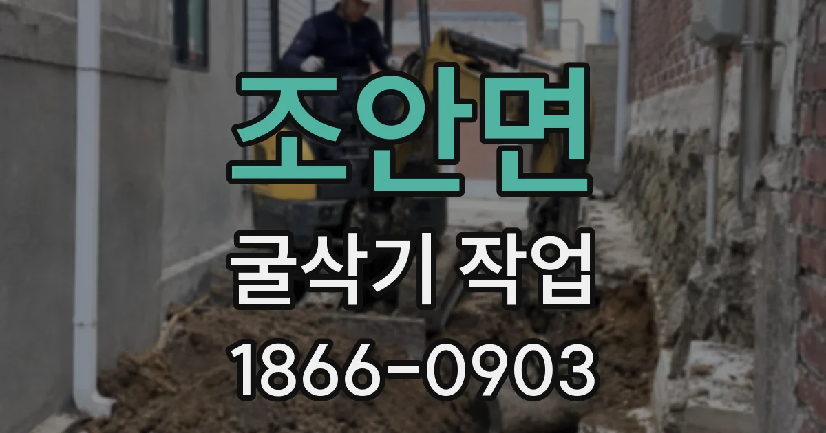 조안면 굴삭기 작업