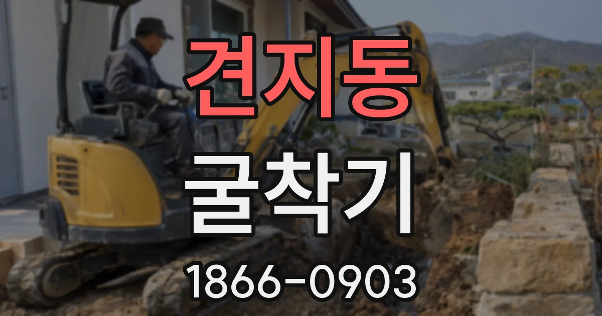 견지동 굴착기