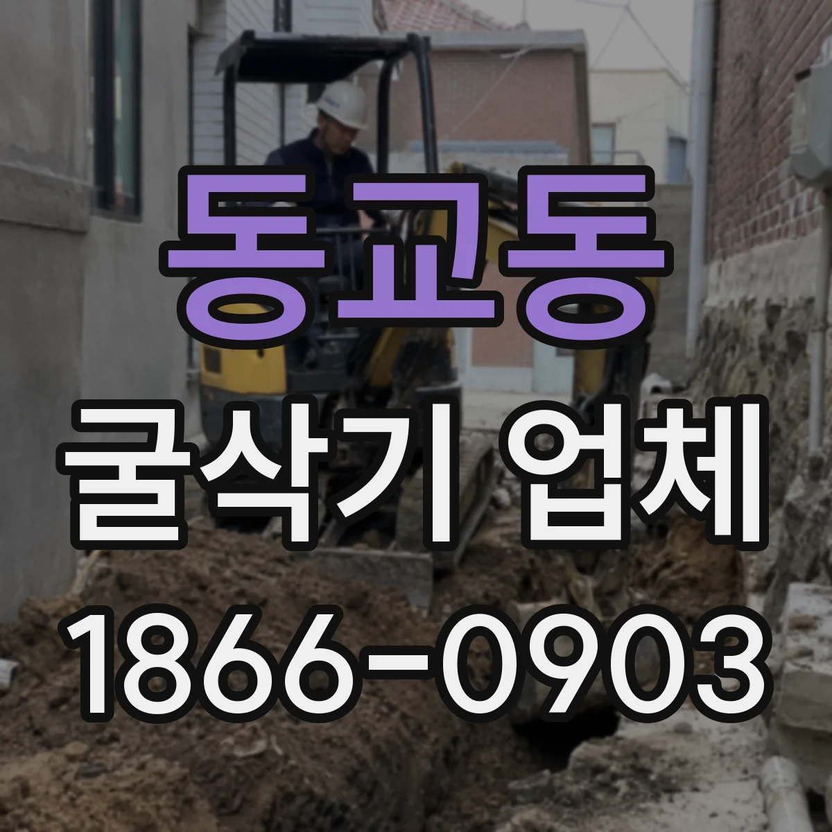 동교동 굴삭기 업체