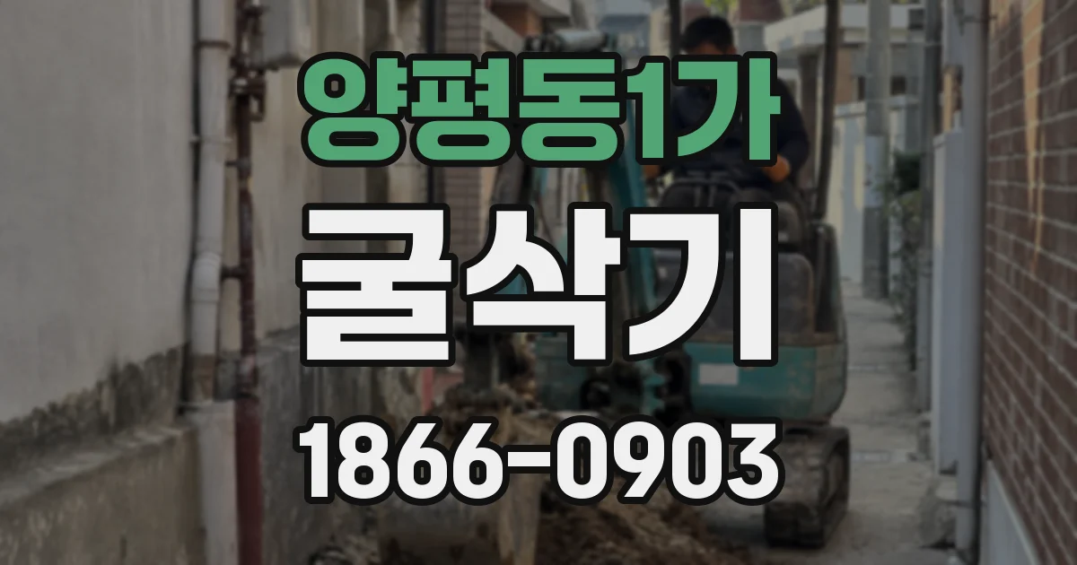 양평동1가 굴삭기