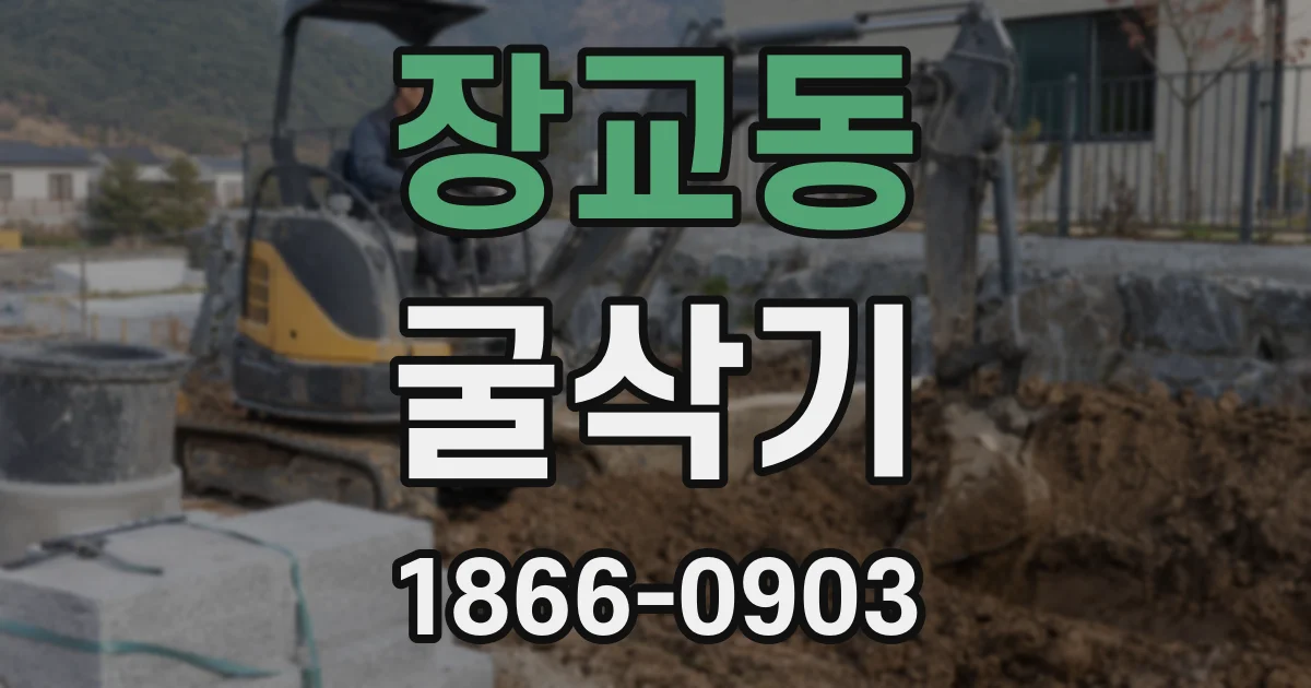 장교동 굴삭기