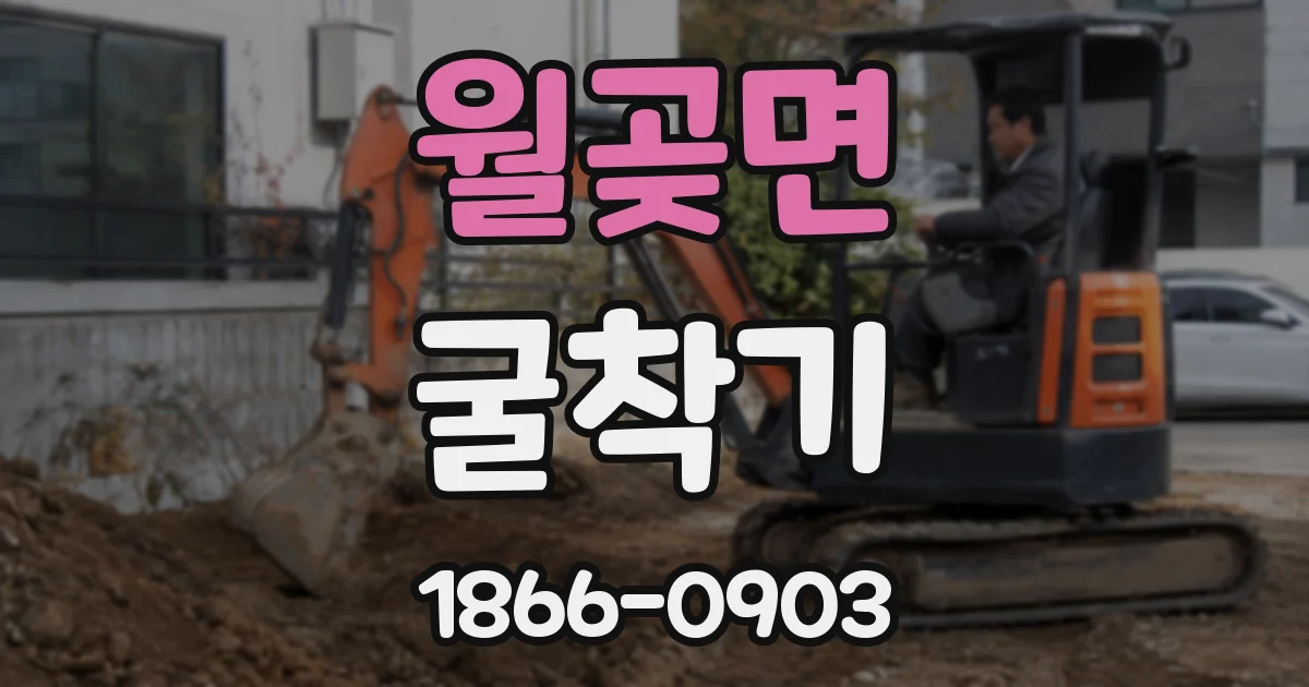 월곶면 굴착기