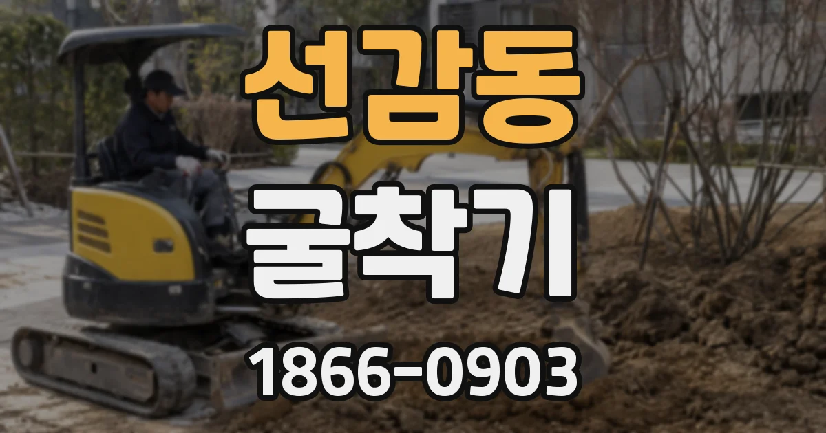 선감동 굴착기
