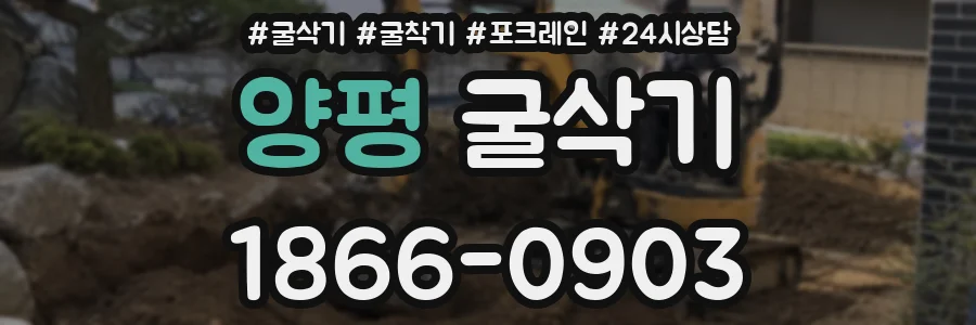 양평 굴삭기