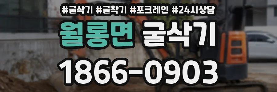 월롱면 굴삭기