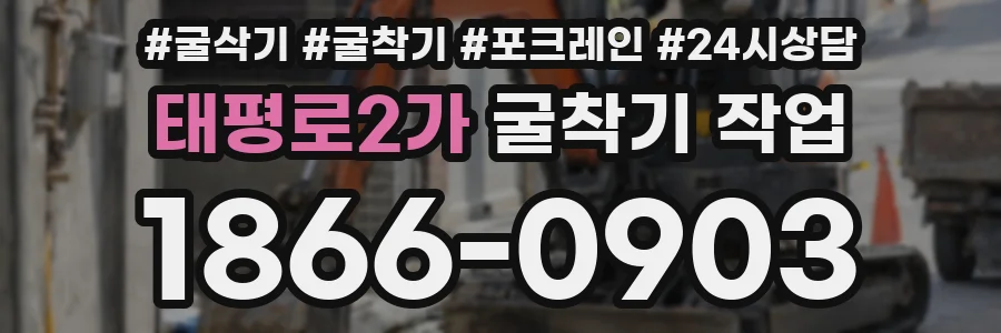 태평로2가 굴착기 작업