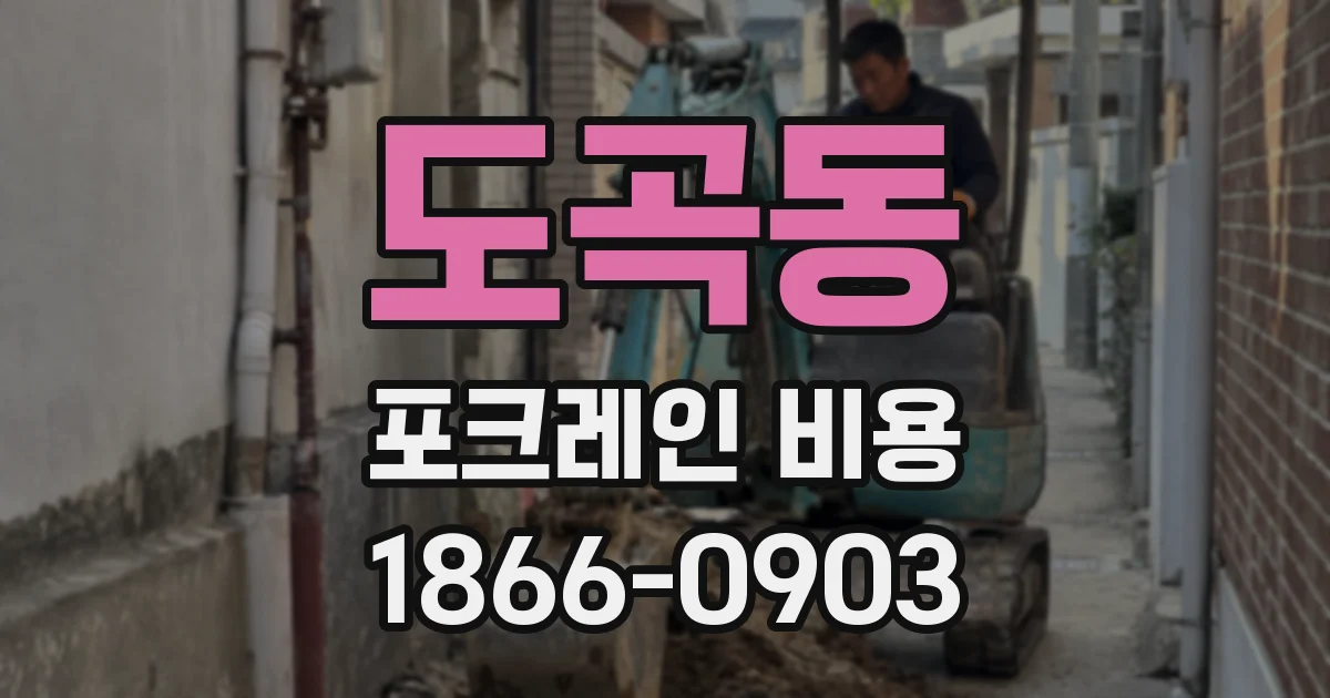 도곡동 포크레인 비용