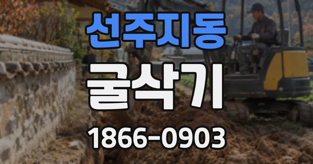 선주지동 굴삭기