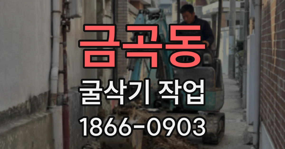 금곡동 굴삭기 작업