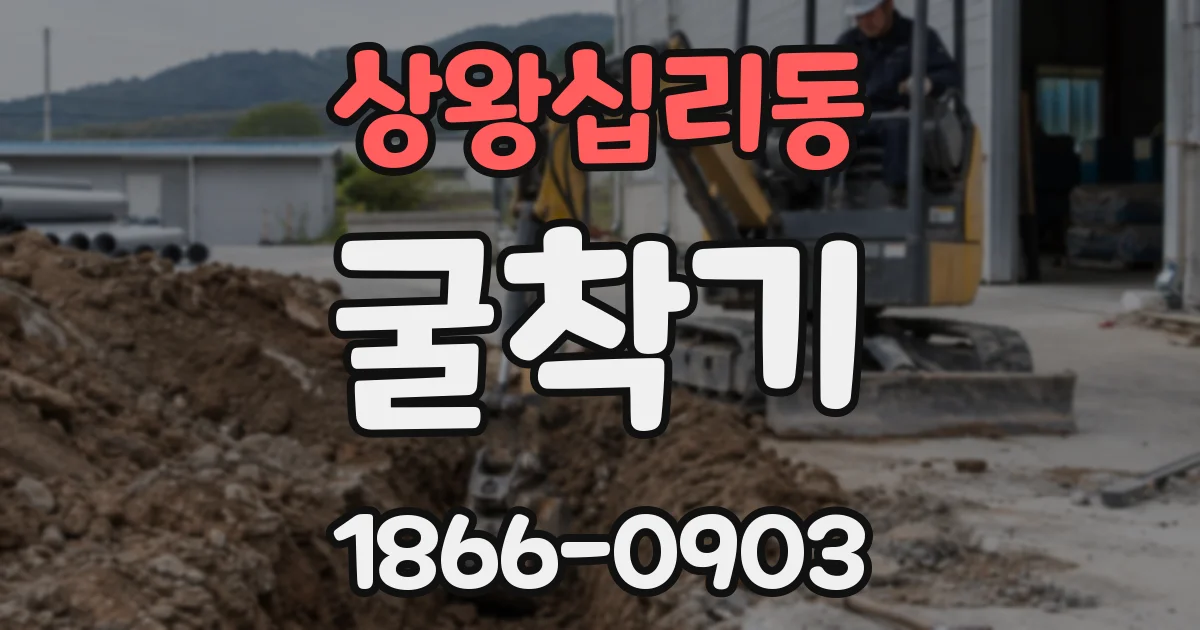 상왕십리동 굴착기