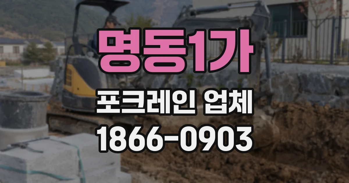 명동1가 포크레인 업체