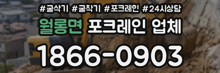 월롱면 포크레인 업체