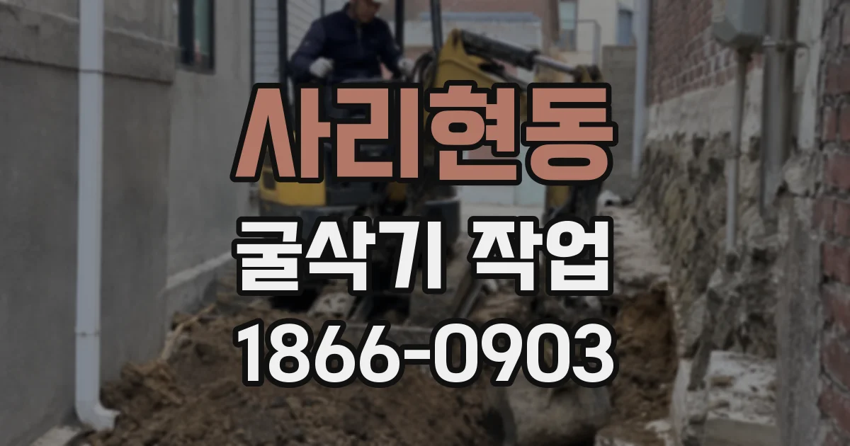 사리현동 굴삭기 작업