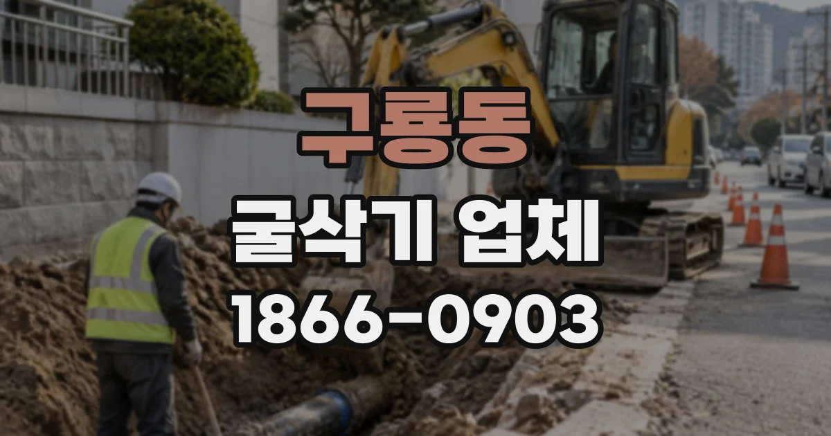 구룡동 굴삭기업체