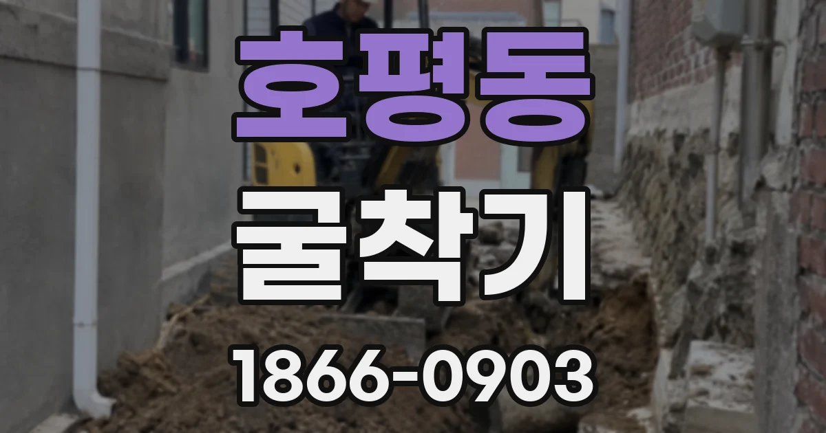 호평동 굴착기
