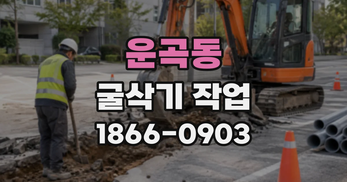운곡동 굴삭기작업