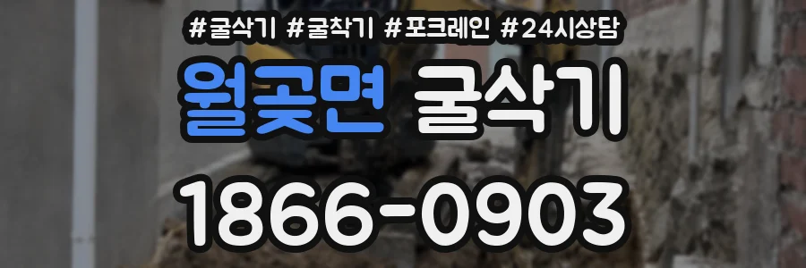 월곶면 굴삭기