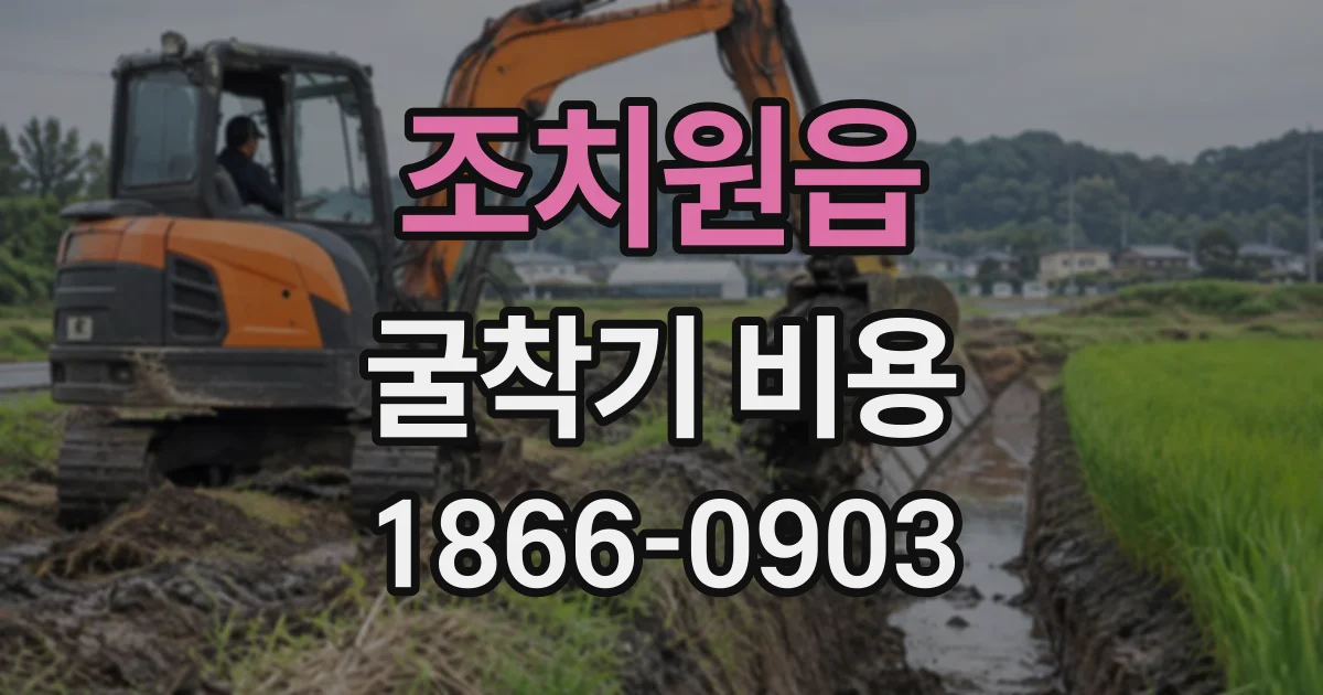 조치원읍 굴착기비용