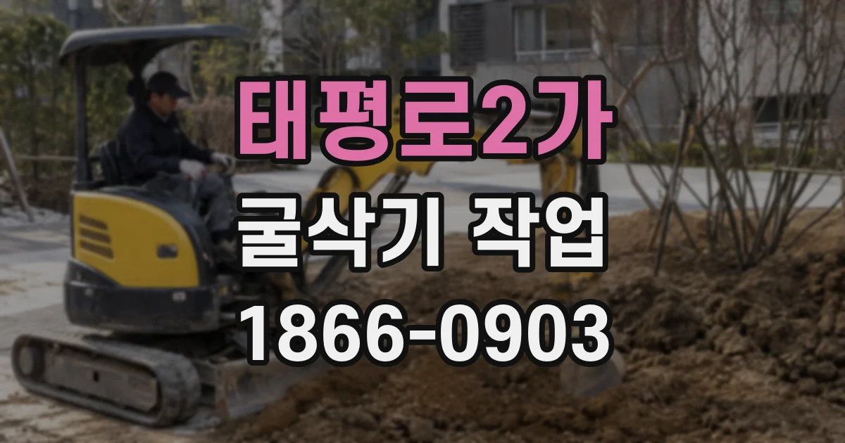 태평로2가 굴삭기 작업