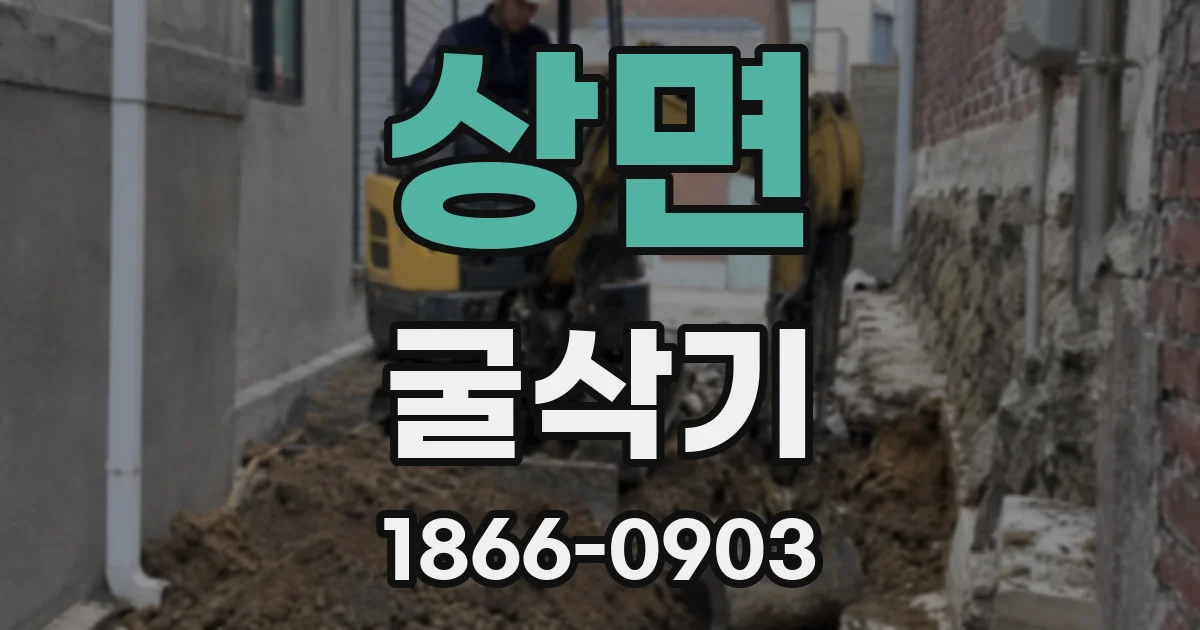 상면 굴삭기