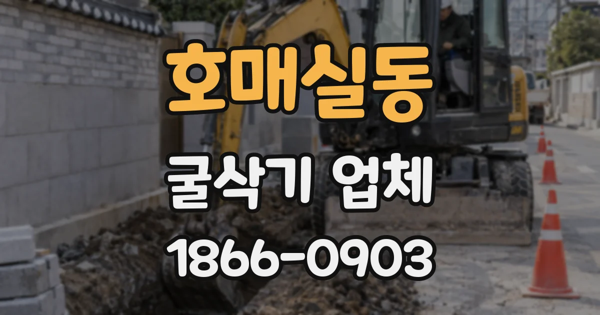 호매실동 굴삭기 업체