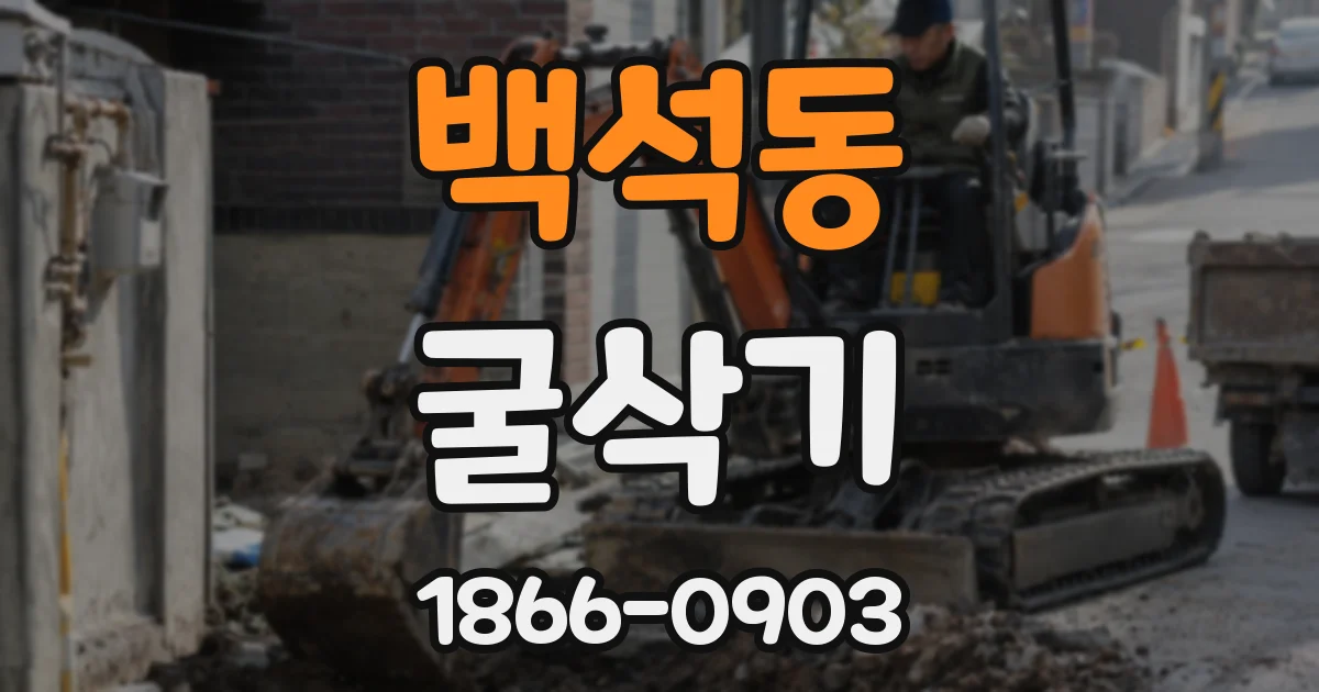 백석동 굴삭기