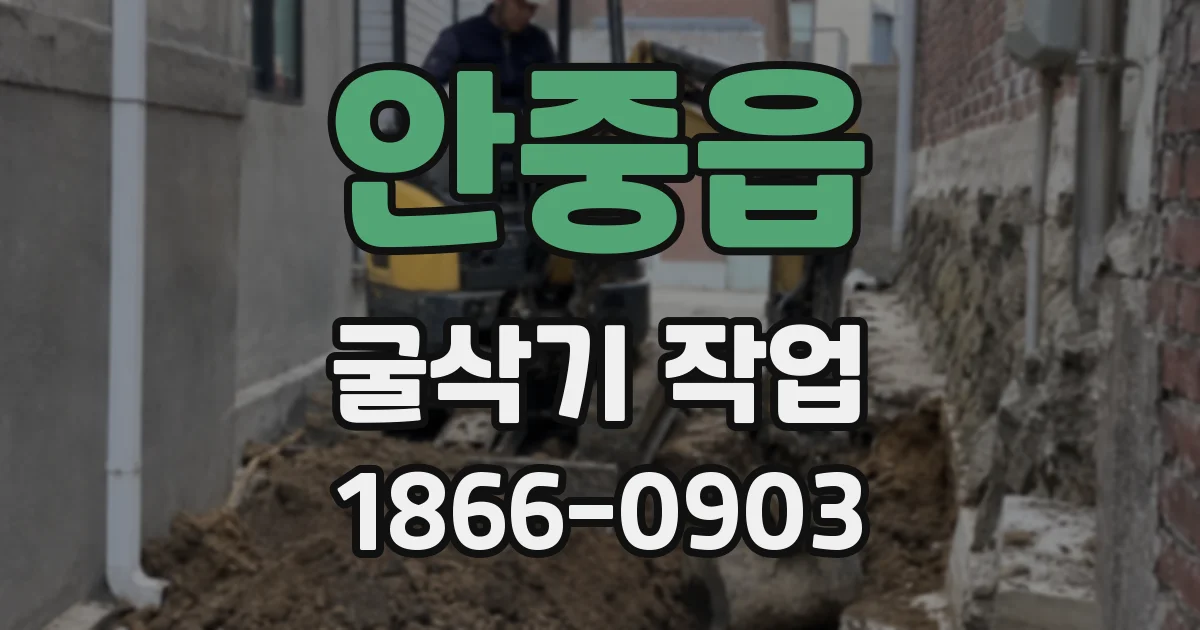 안중읍 굴삭기 작업