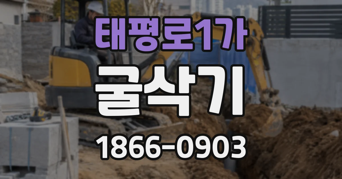 태평로1가 굴삭기