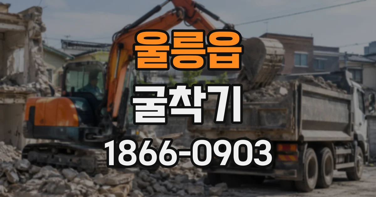 울릉읍 굴착기