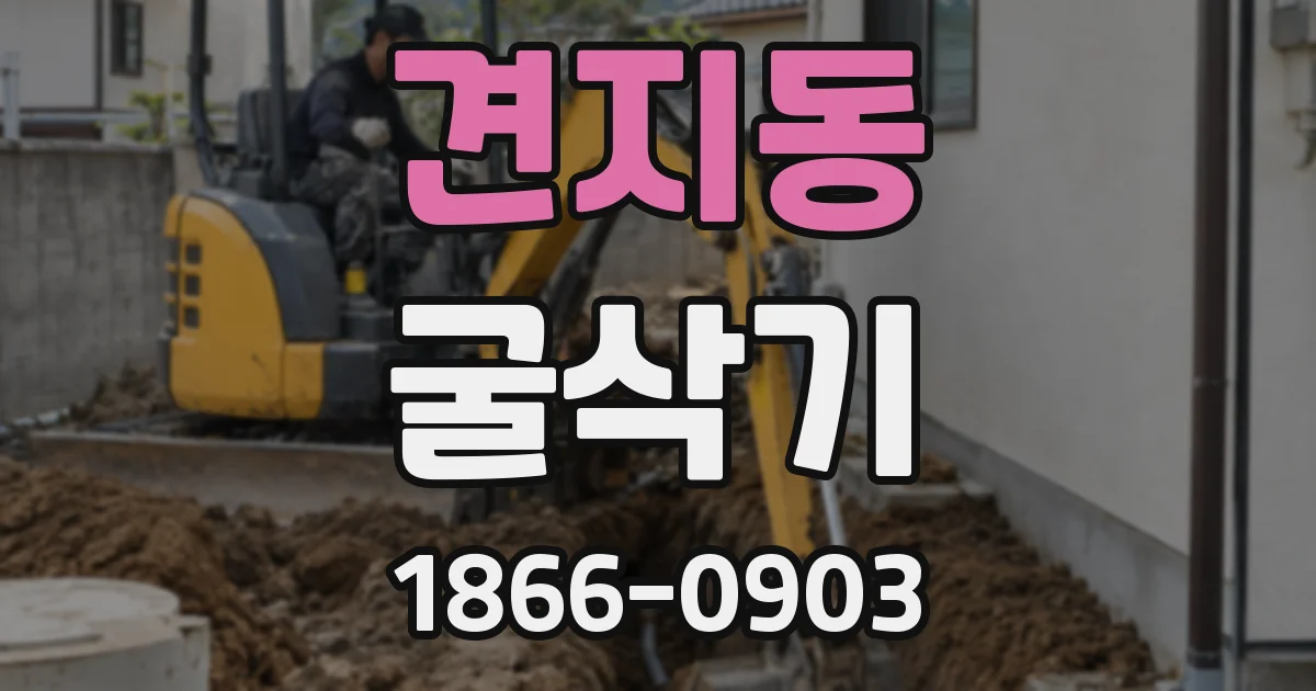 견지동 굴삭기
