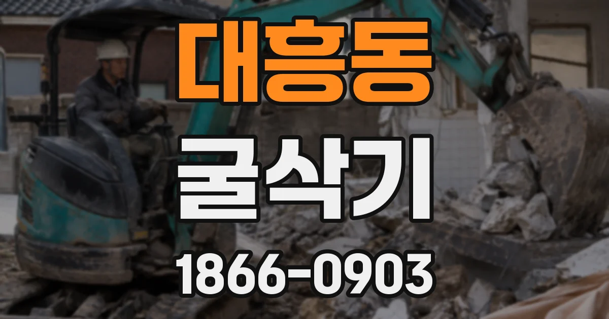 대흥동 굴삭기