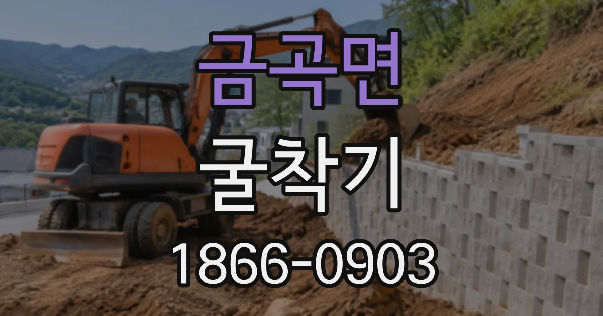금곡면 굴착기